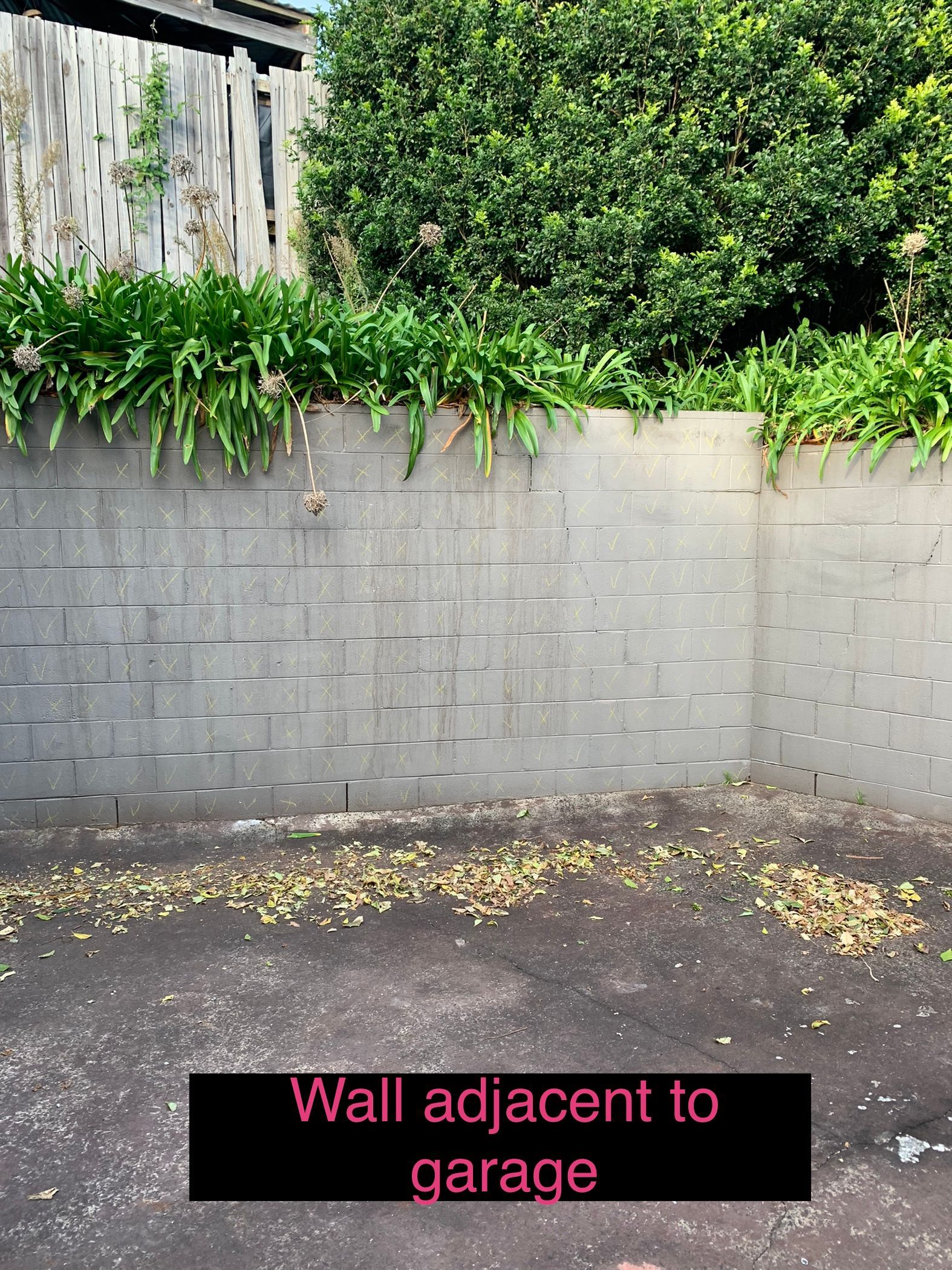 A picture of a wall adjacent to a garage
