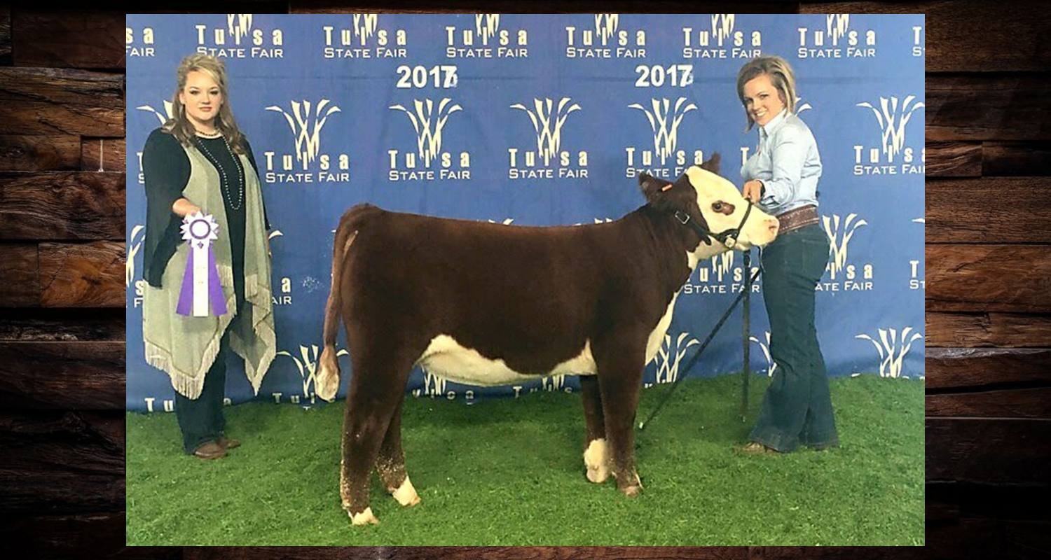 Two people pose with a brown-and-white show cow in front of a blue event backdrop.