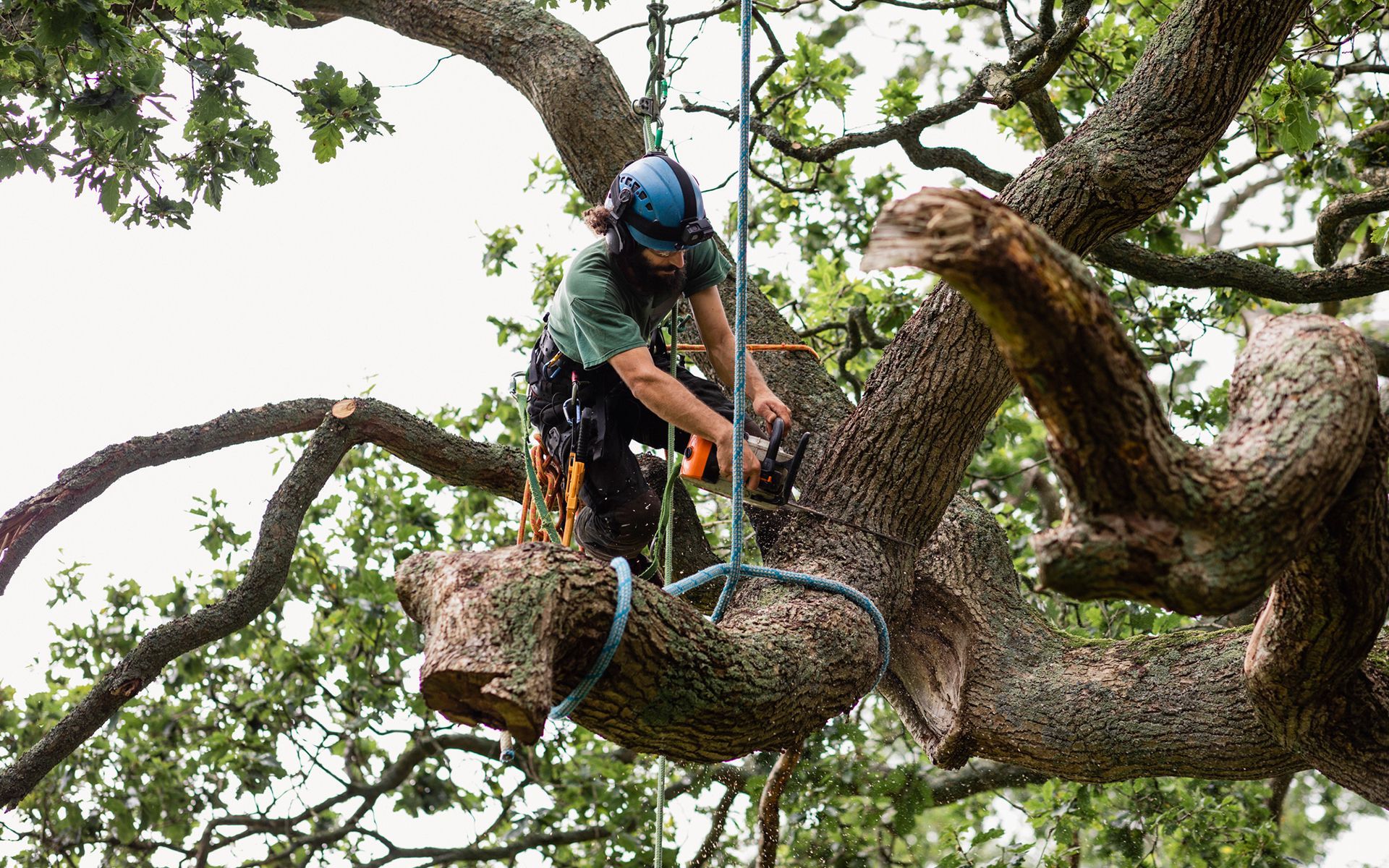 A man is cutting a tree branch with a chainsaw.