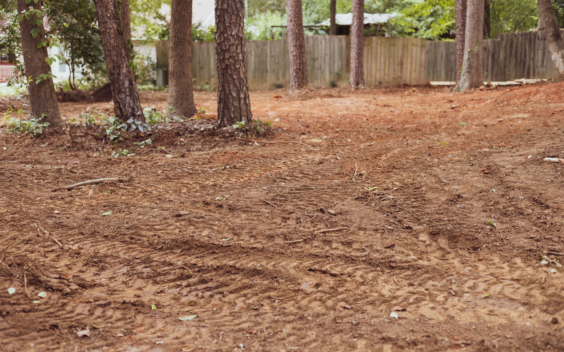 A dirt field with trees in the background and a fence in the background.