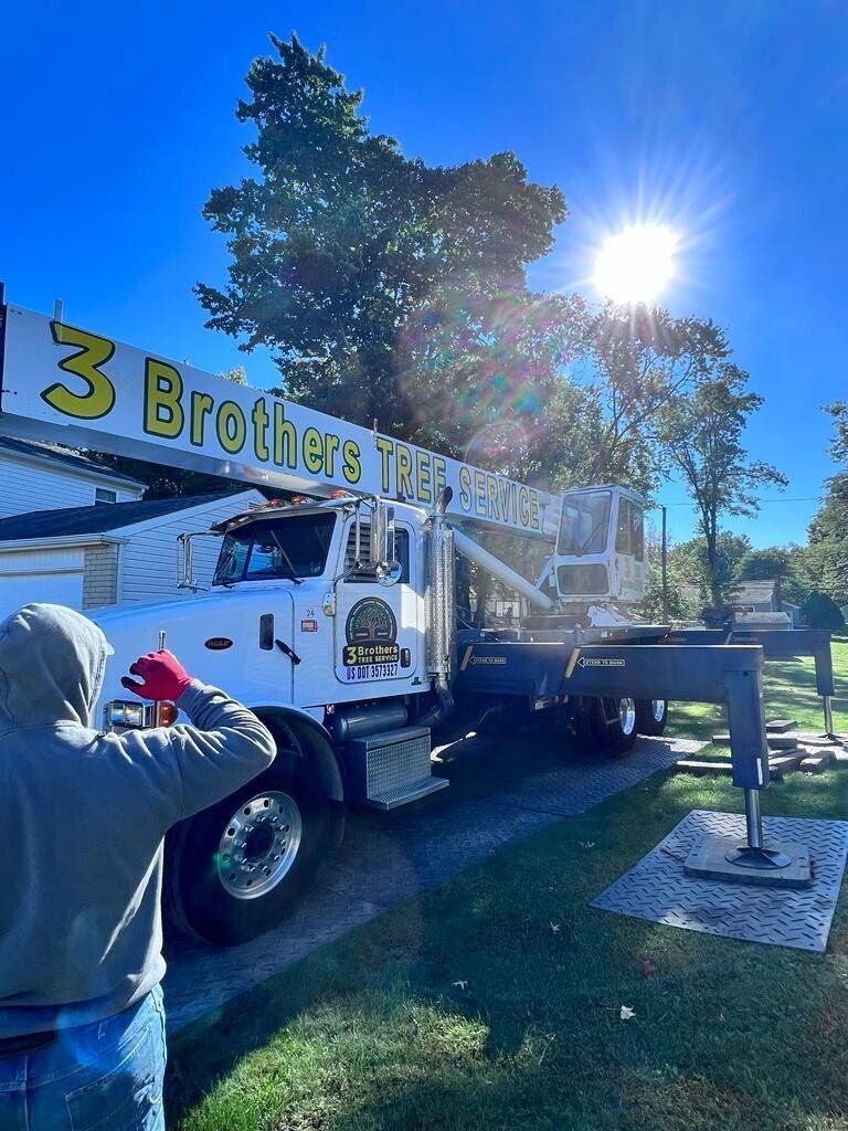A man is standing in front of a truck that says 3 brothers tree service.
