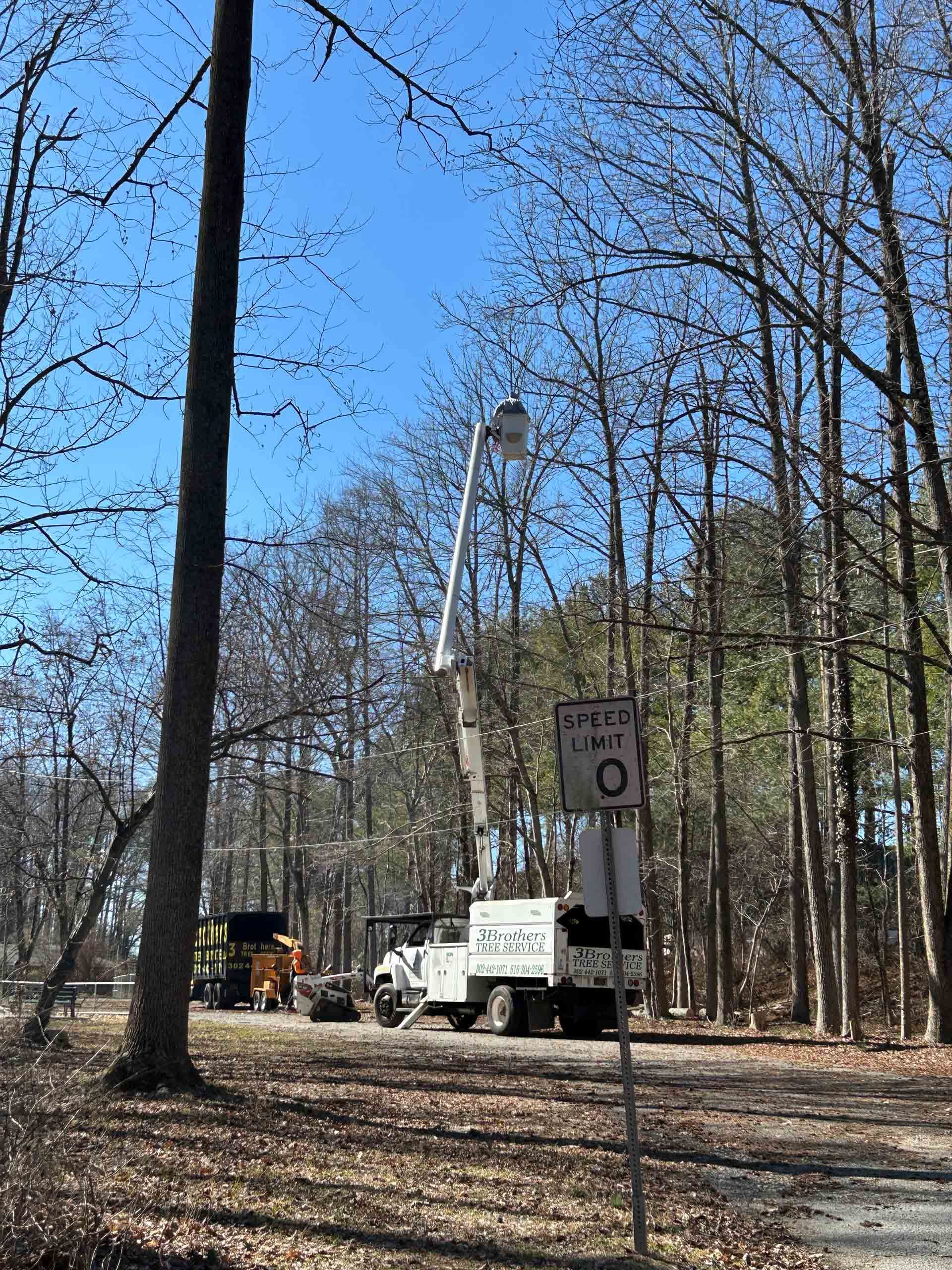 A truck with a crane attached to it is cutting a tree in the woods.