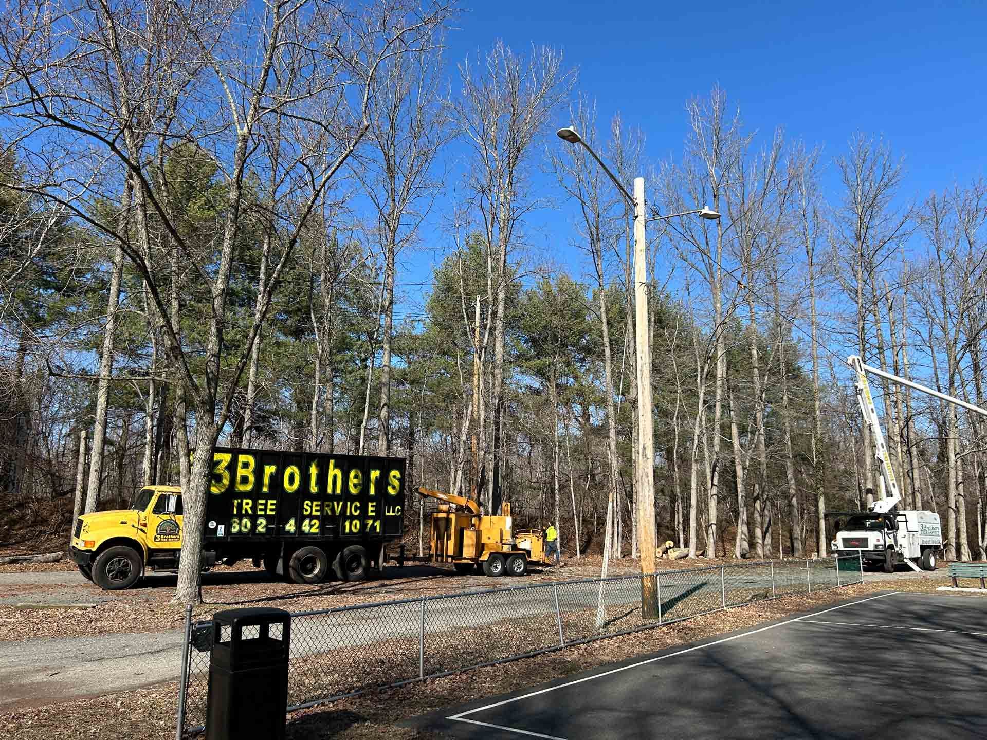 A yellow truck is parked on the side of the road next to a forest.