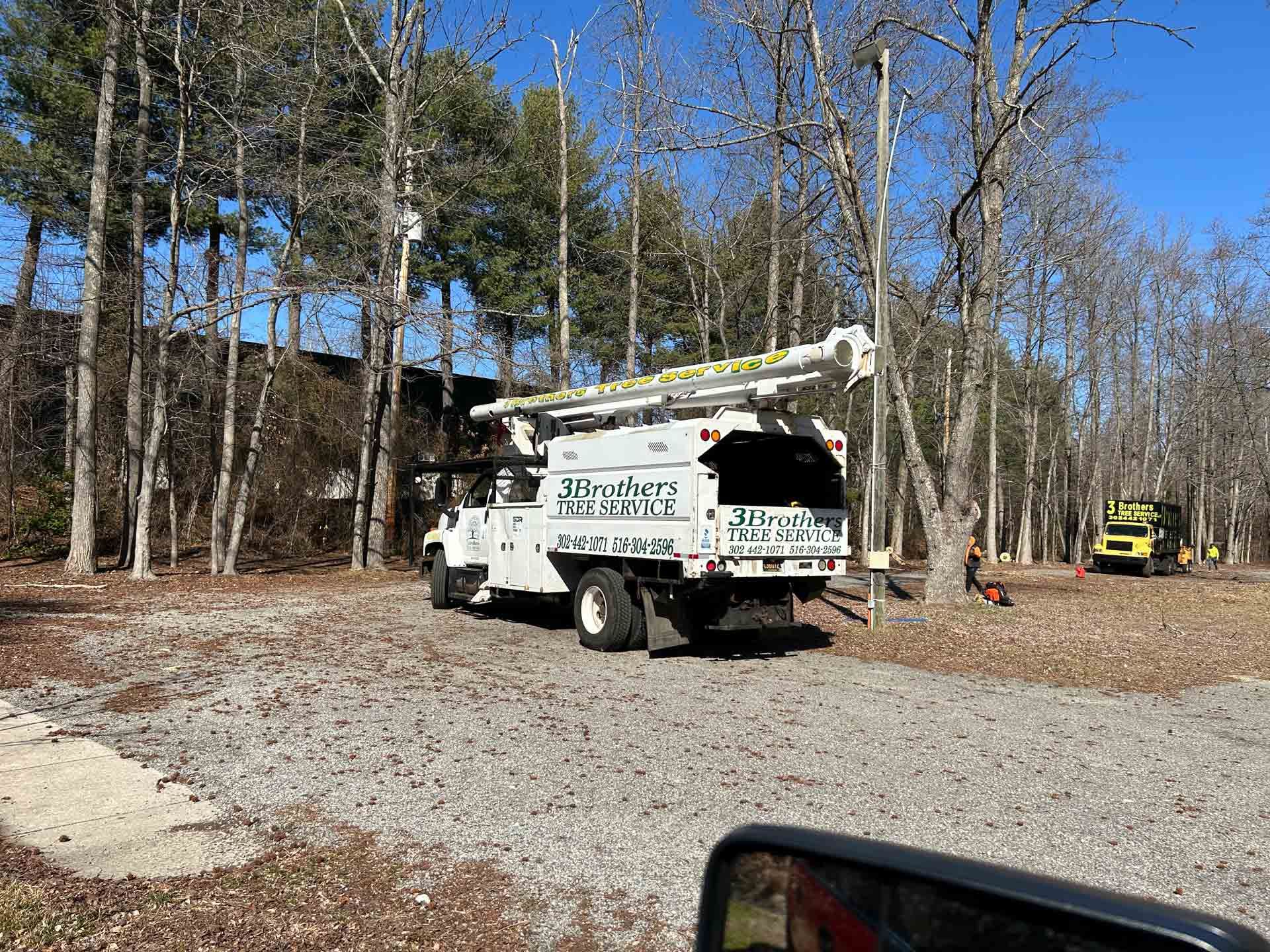 A white truck is parked in a gravel lot in the woods.