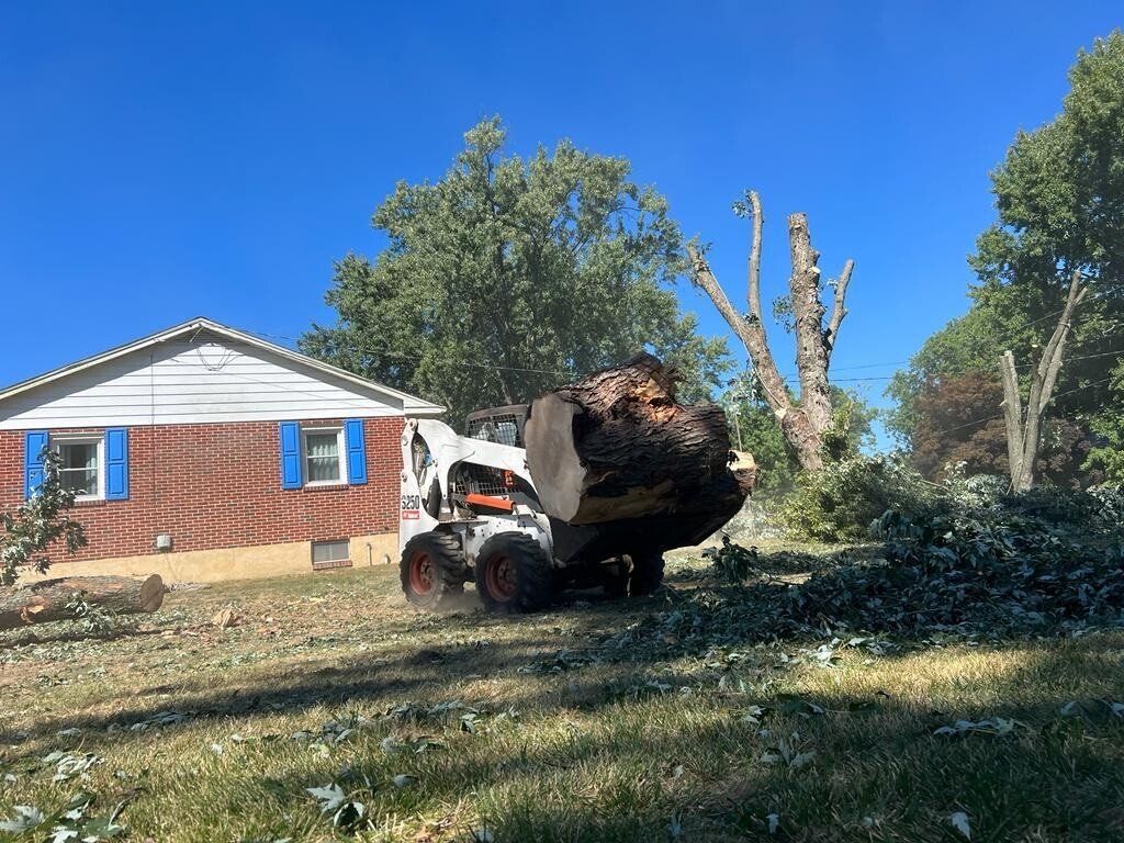 A bobcat is cutting down a tree in front of a house.