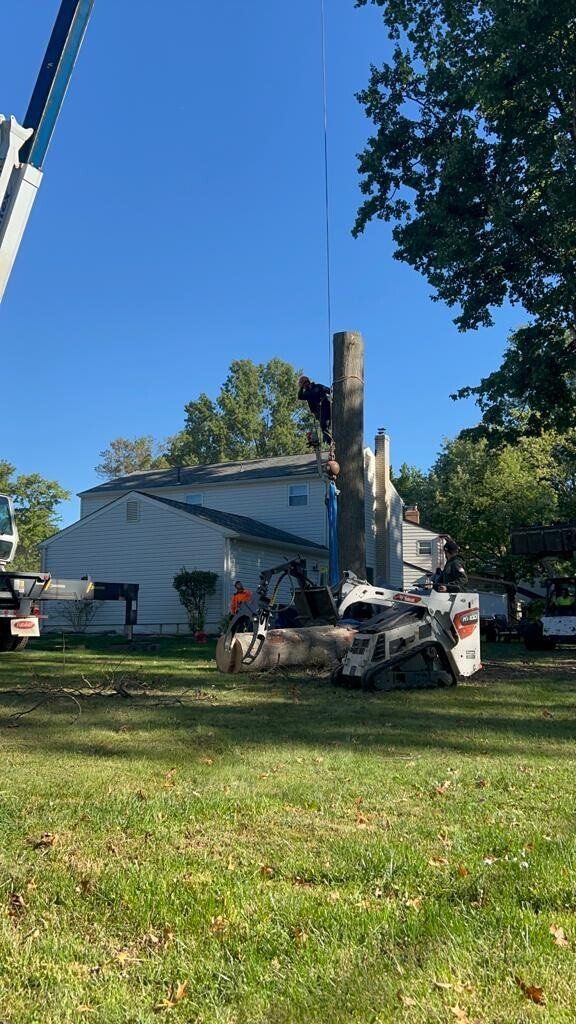 A crane is lifting a tree stump in front of a house.