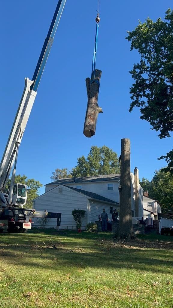 A large tree stump is being lifted by a crane in front of a house.