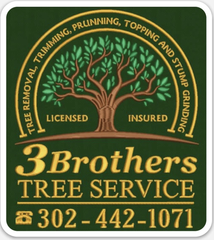 3 Brothers Tree Service