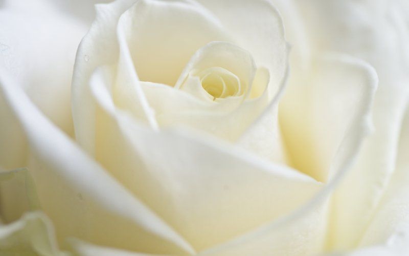 realizzazione di addobbi funebri