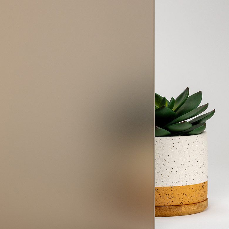 Frosted glass panel in front of a white and speckled pot with a green succulent plant.