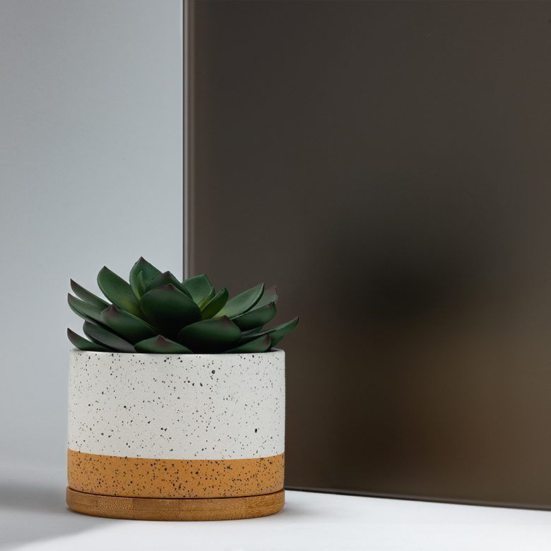 Succulent plant in a speckled white and brown pot in front of a dark, tinted glass panel.