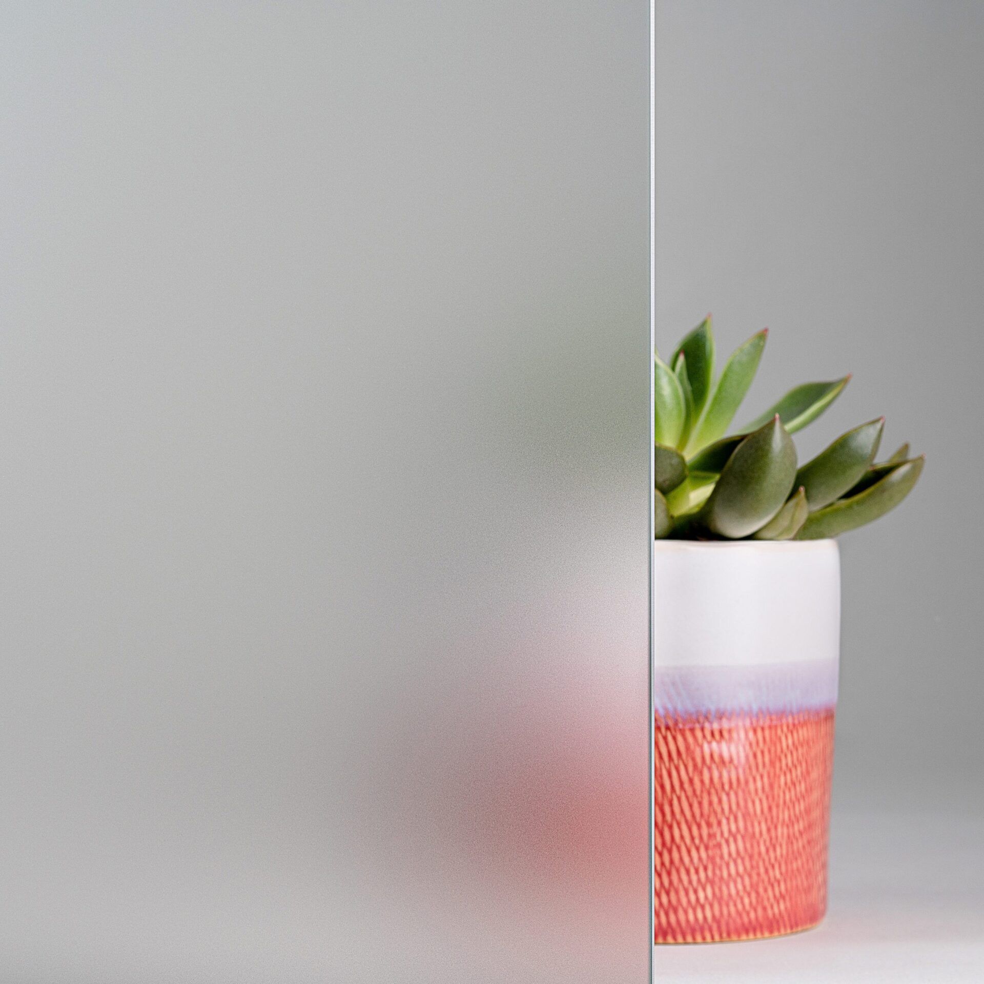 Frosted glass panel partially obscuring a succulent plant in a patterned pot.