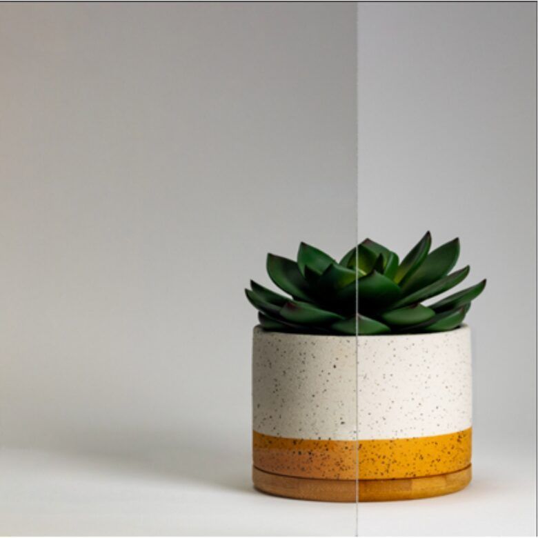 Succulent plant in a speckled white and yellow pot on a white surface, with a gray background.