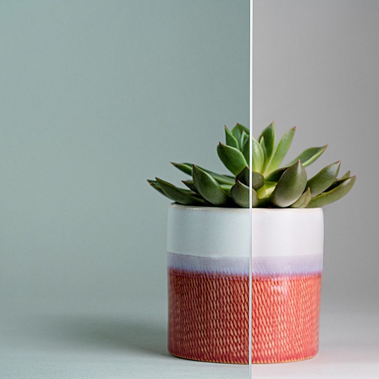 Succulent plant in a red and white patterned pot against a light gray background.