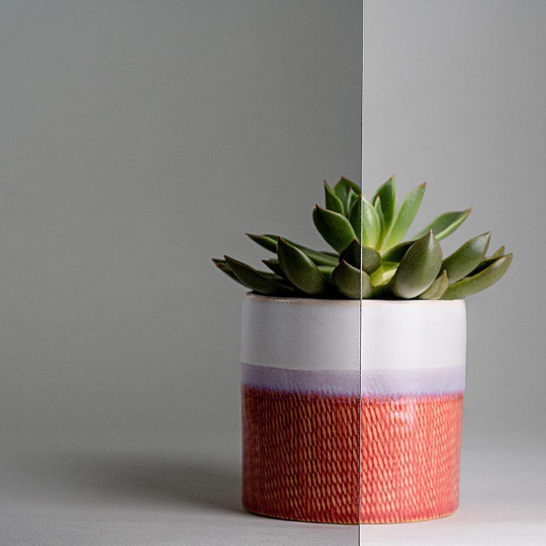 Succulent in a patterned red, white, and purple pot on a gray surface with gray backdrop.