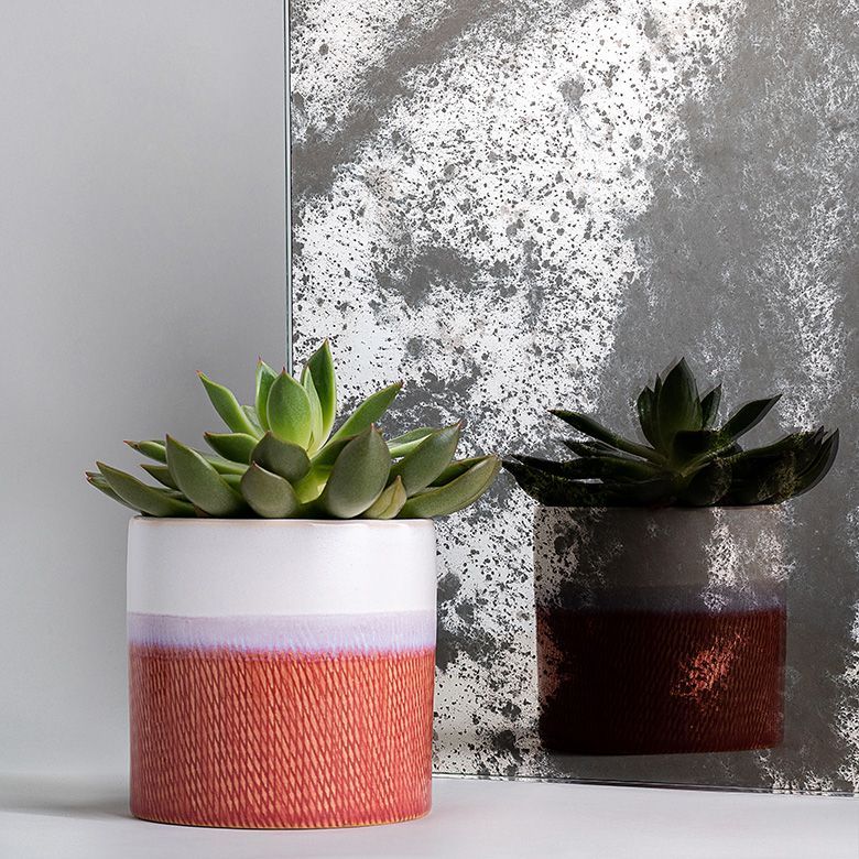 Two succulent plants in decorative pots, one white, purple, and orange; the other dark gray and rust.