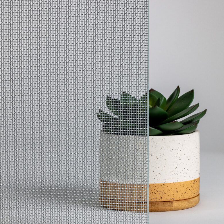 Textured glass pane with a small potted succulent in front of it.