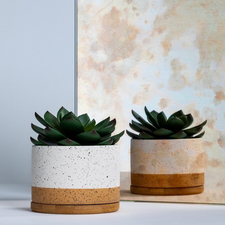 Two potted succulents in speckled white and brown ceramic pots.