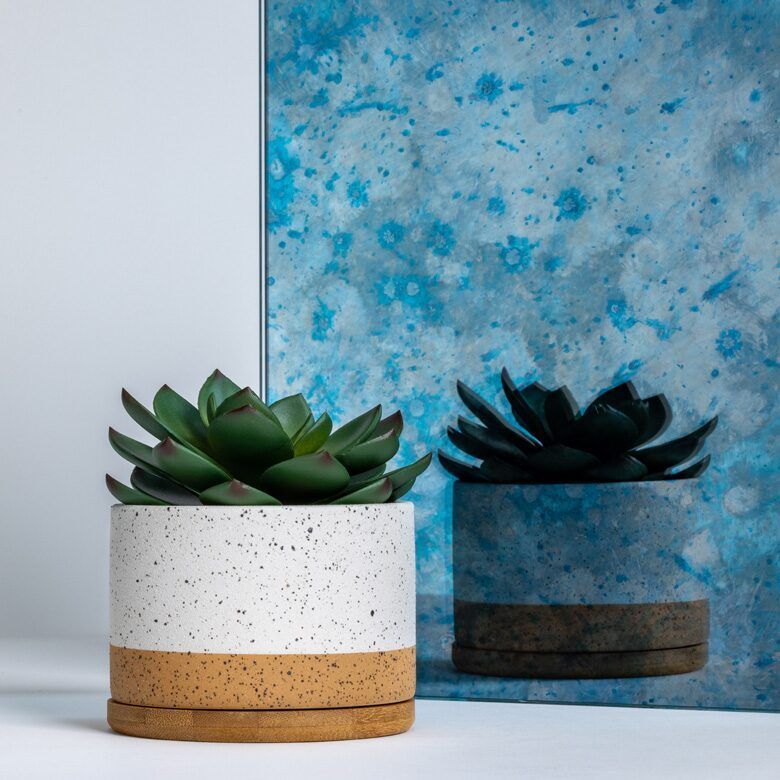 Succulent plant in speckled white and brown pot in front of a blue textured wall.