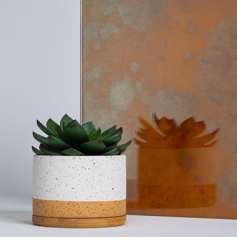 Succulent plant in a white and yellow speckled pot; reflected in a copper-colored background.