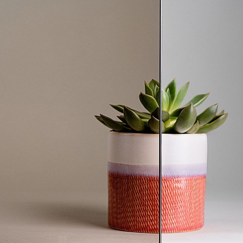 Succulent plant in a terracotta pot; light falls on the left side, shadow on the right.