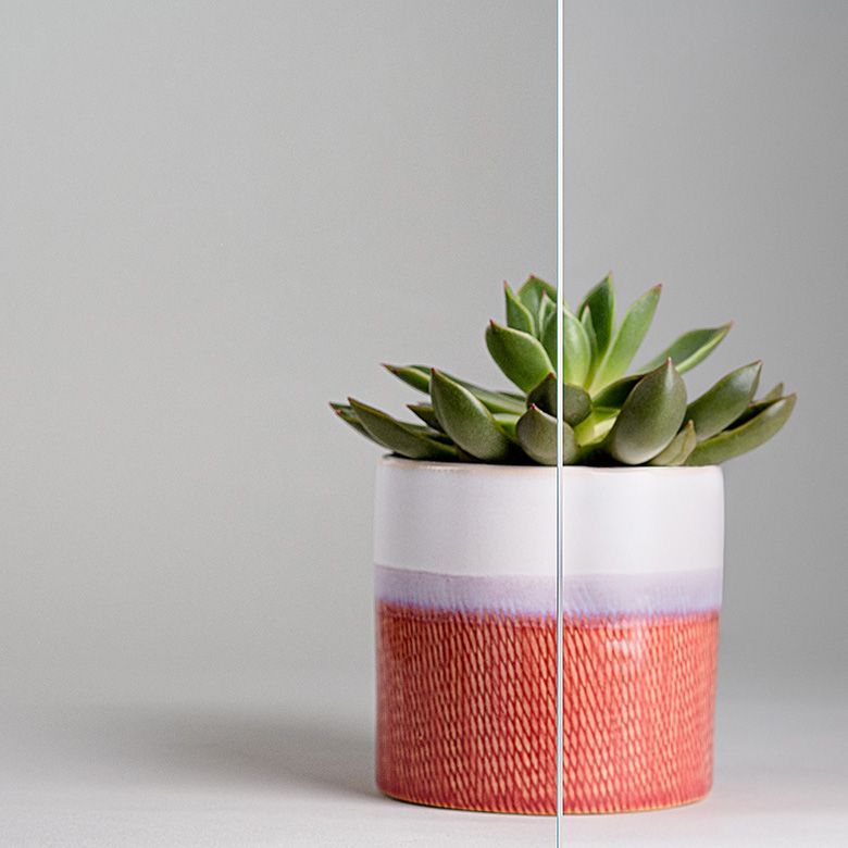 Succulent plant in a red and white pot against a gray background, with a vertical line in front.
