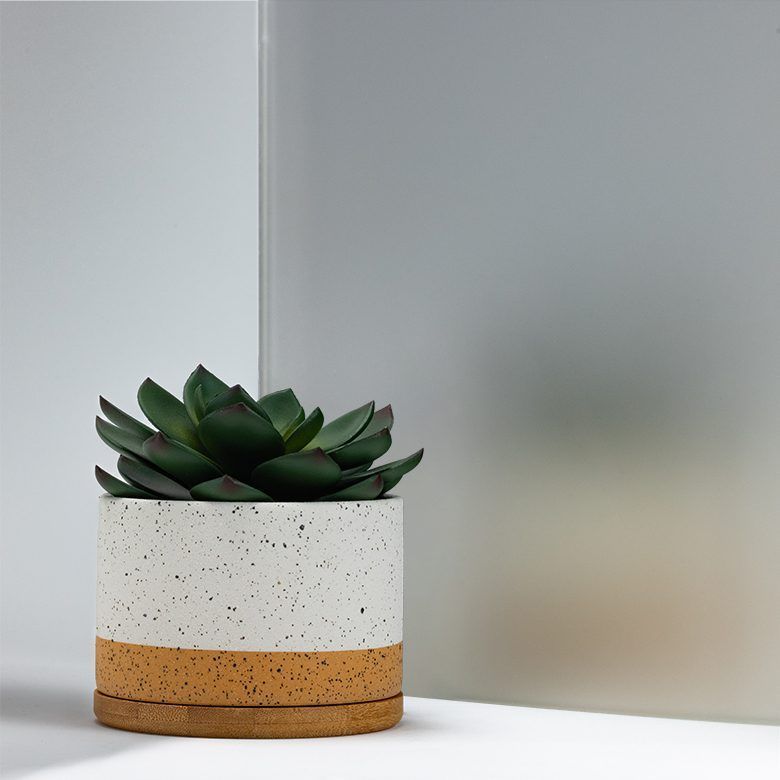 Succulent in a speckled white and brown pot against a frosted glass and white backdrop.