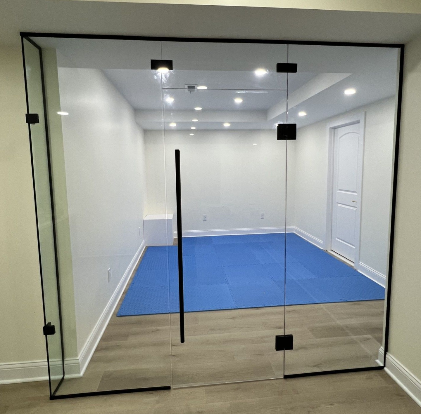 Glass-walled home gym with black frame and door. Blue mat covers the floor. White walls and ceiling with recessed lighting. Canton MI