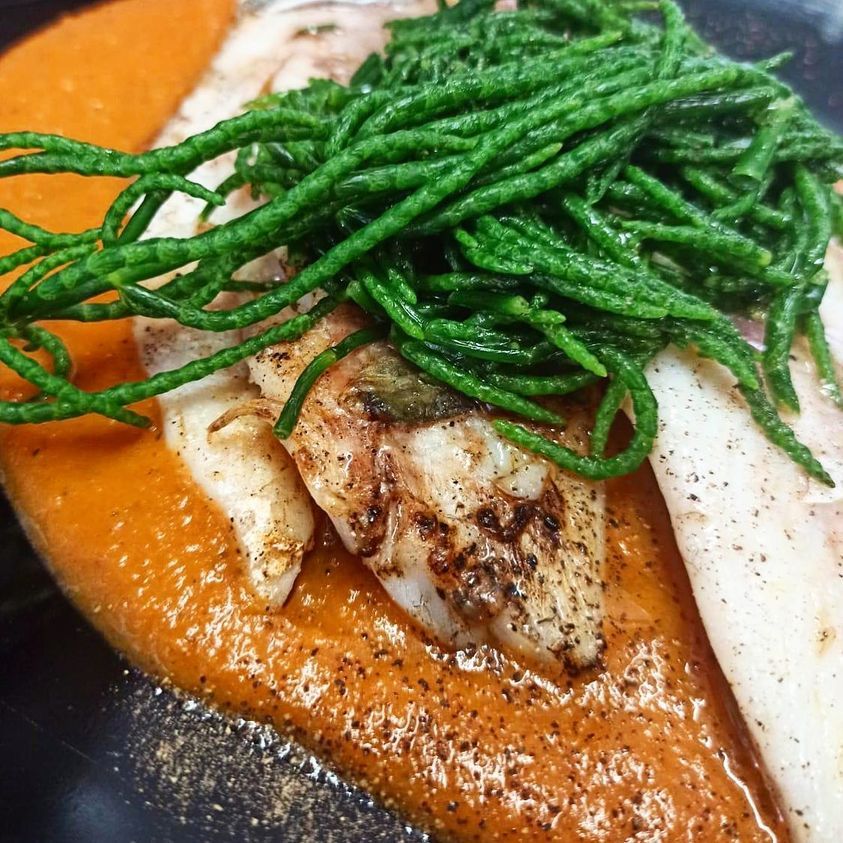 pesce con finocchio marino