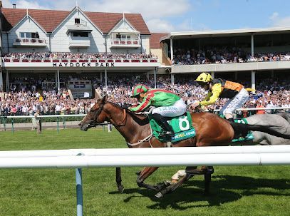Two jockeys race horses in front of the Haydock Park grandstand filled with spectators.
