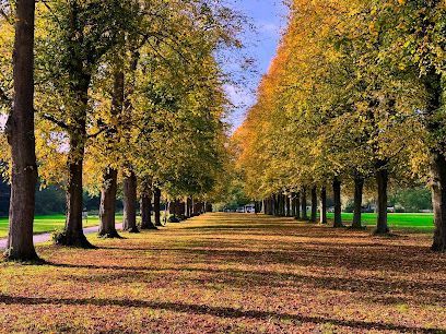 Two rows of autumn trees with golden leaves line a path covered in fallen leaves under a clear blue sky.