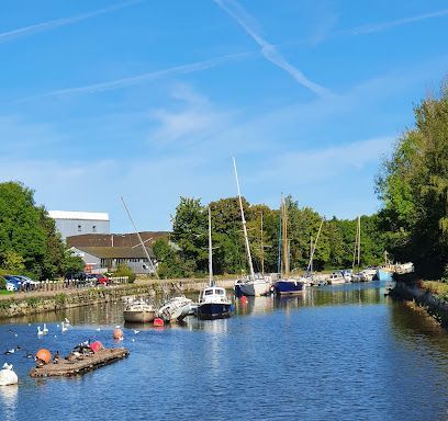 A calm canal with moored sailboats and a small wooden floating platform with birds, set against trees and a bright sky.