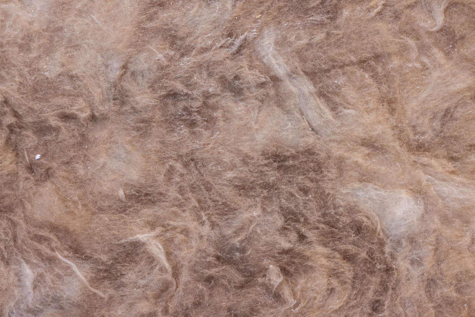 Close-up of brown, beige, and gray fuzzy fur or fibers filling the frame.