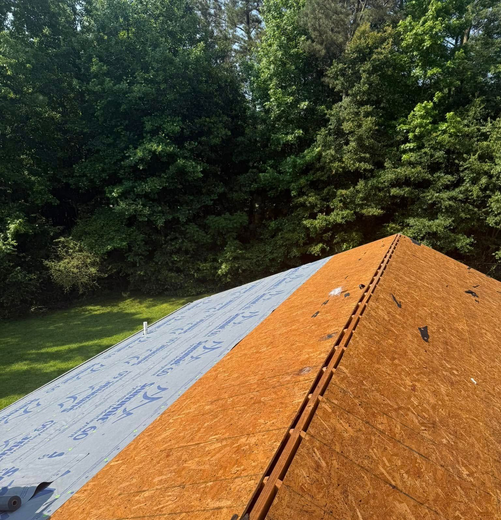 Rooftop with blue underlayment and brown plywood, surrounded by lush green trees.