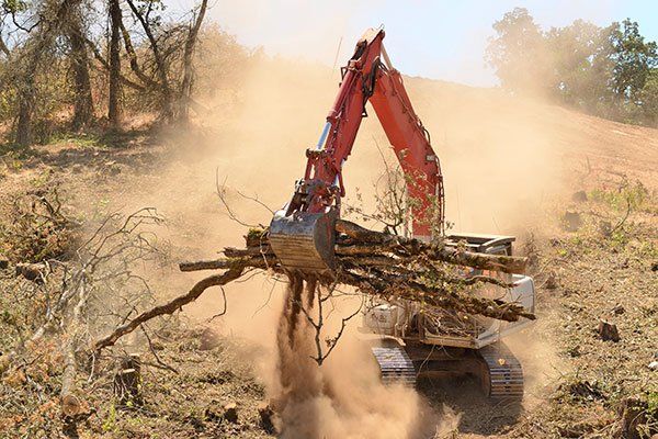 A bulldozer providing brush clearing services in El Dorado County, CA