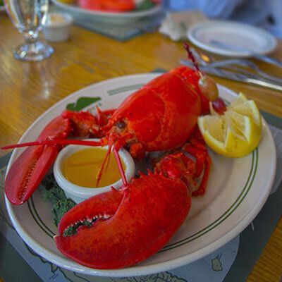 A close up of a plate of lobster on a table.