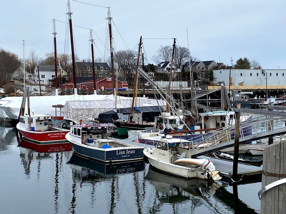 A group of boats are docked in a harbor and one of the boats has the word police on it