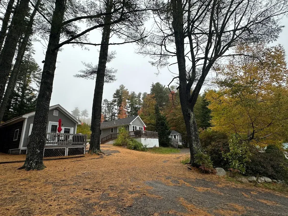 A small house is surrounded by trees on a rainy day.