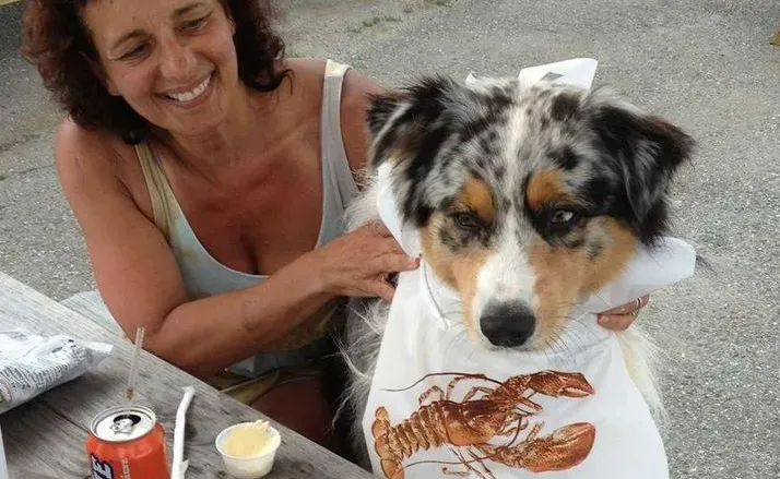 A woman is petting a dog wearing a lobster shirt.