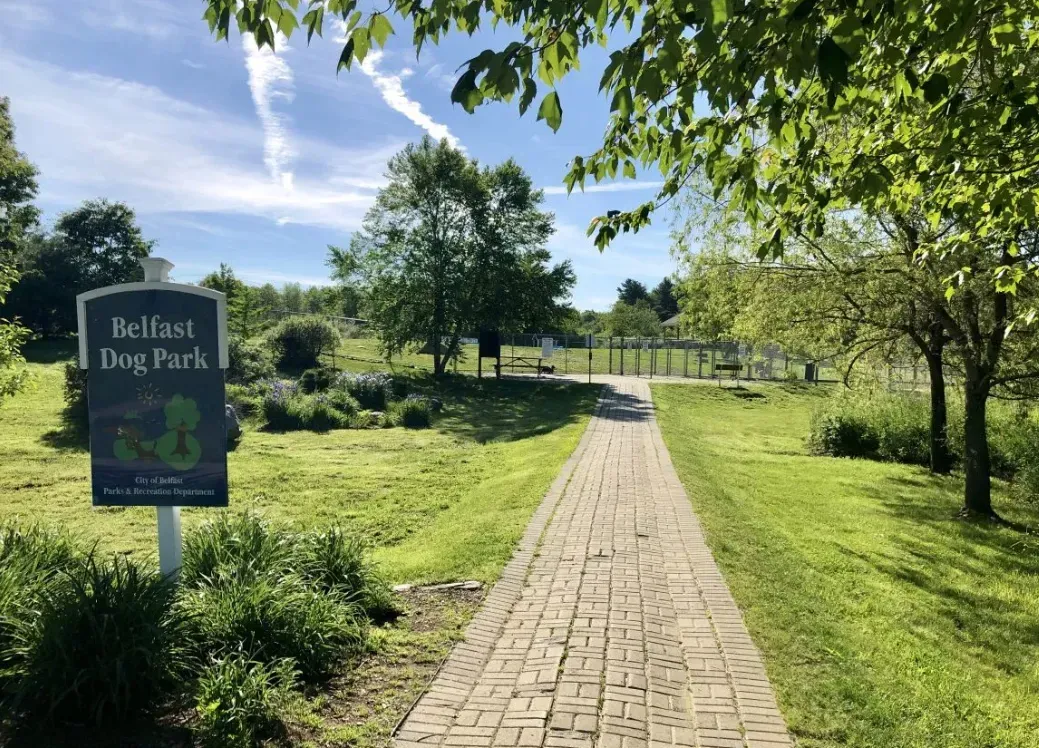 A brick walkway leading to belfast dog park