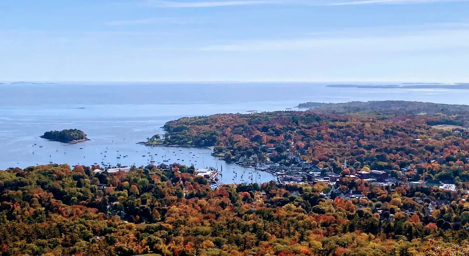 An aerial view of a city surrounded by trees and a body of water.