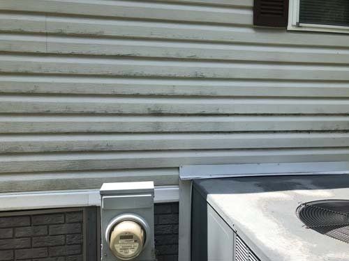 Prior to cleaning of a double wide home, the siding has tons of mildew and mold
