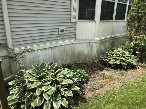 Vinyl siding exterior prior to Stoltenberg power washing services