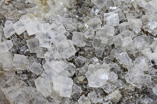 Picture of white salt crystals