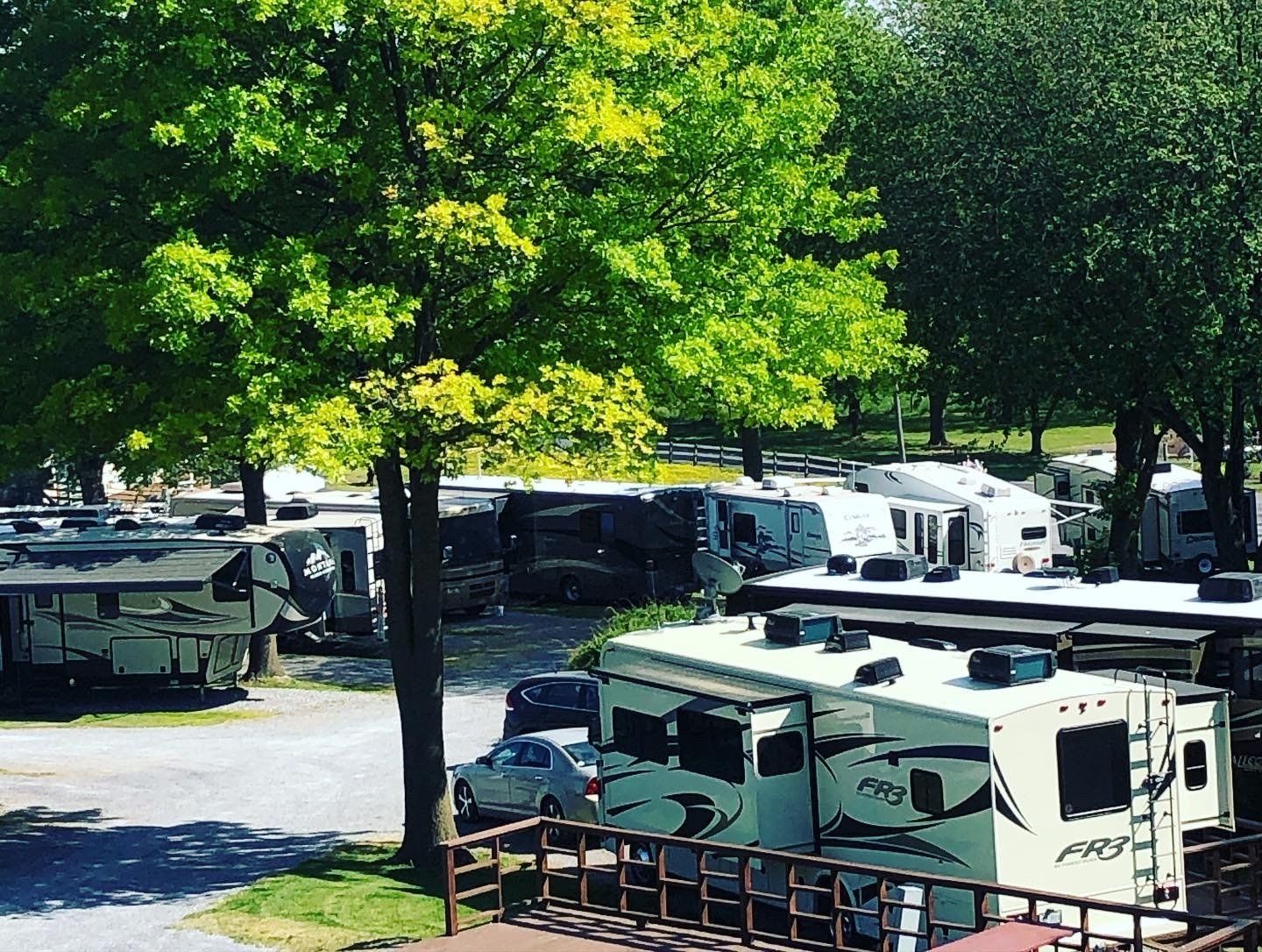RV Parking is Complimented with Beautiful Shade Trees