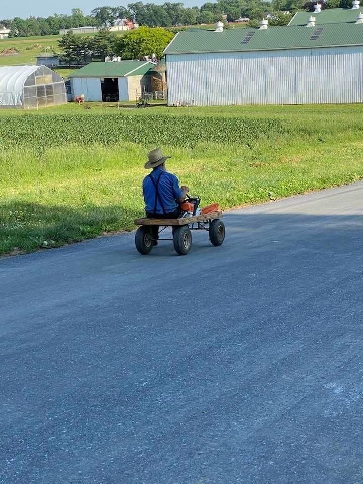 Local Amish Man Coasting by on his Wagon