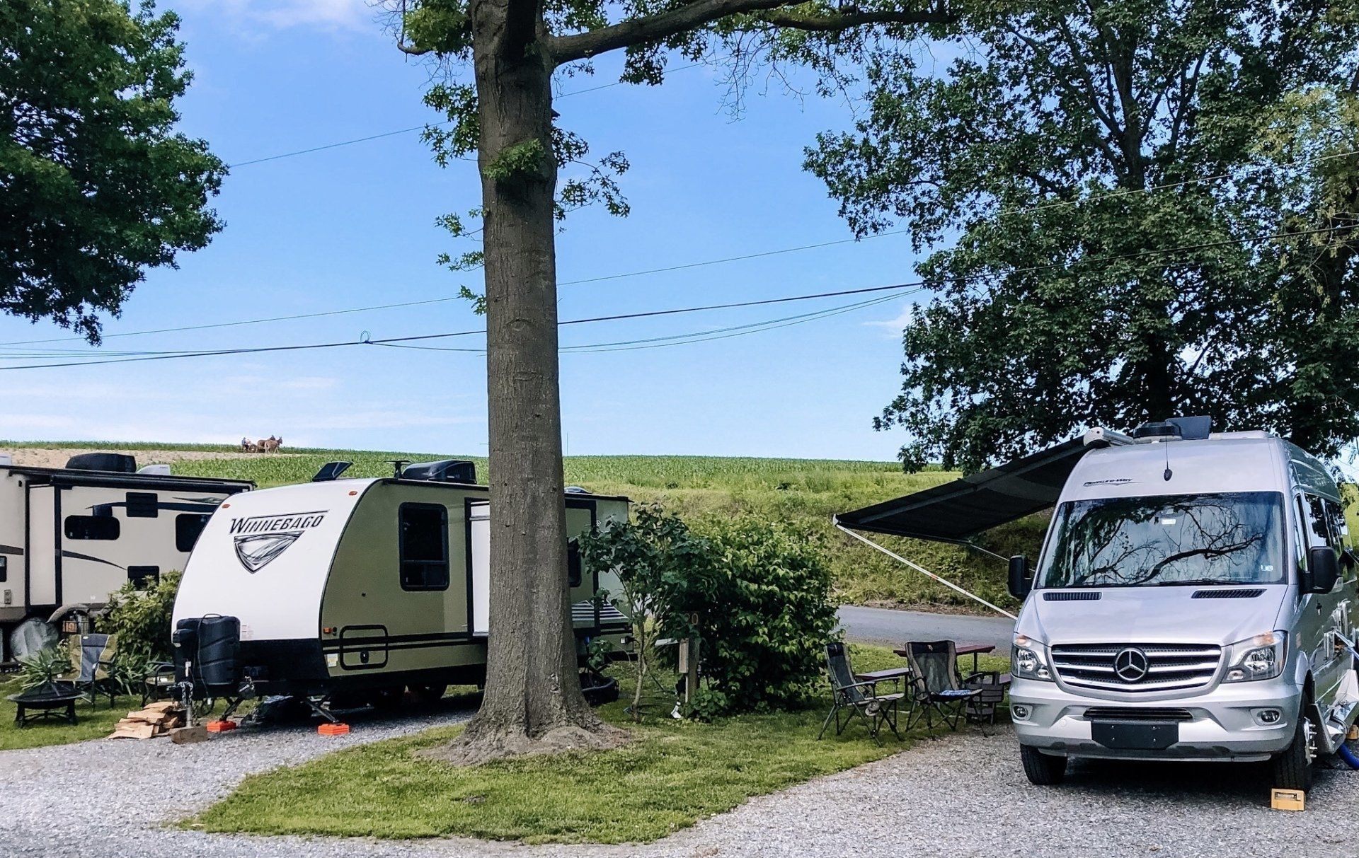 This row of Campers Enjoy the View of the Neighboring Farm