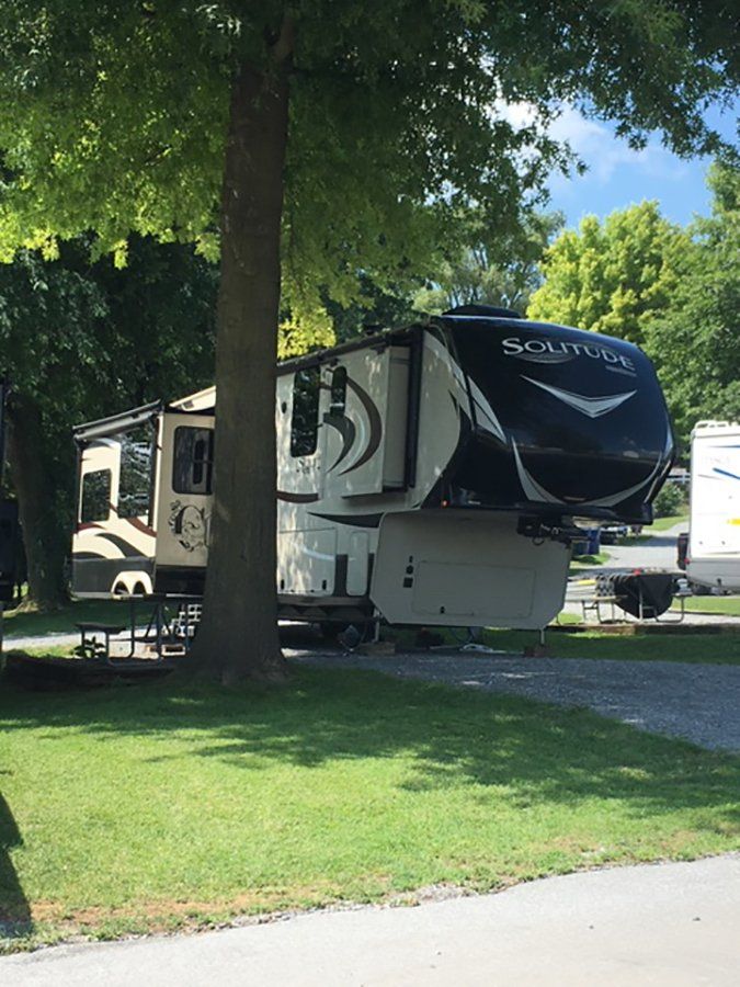 The tall trees provide the perfect amount of shade on summer days.