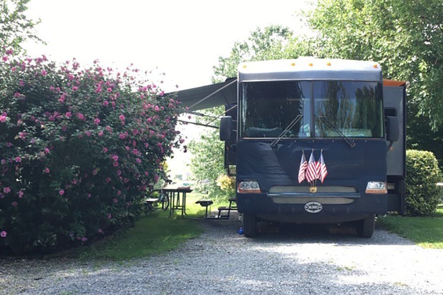 Beautiful bushes provide a nice shade.