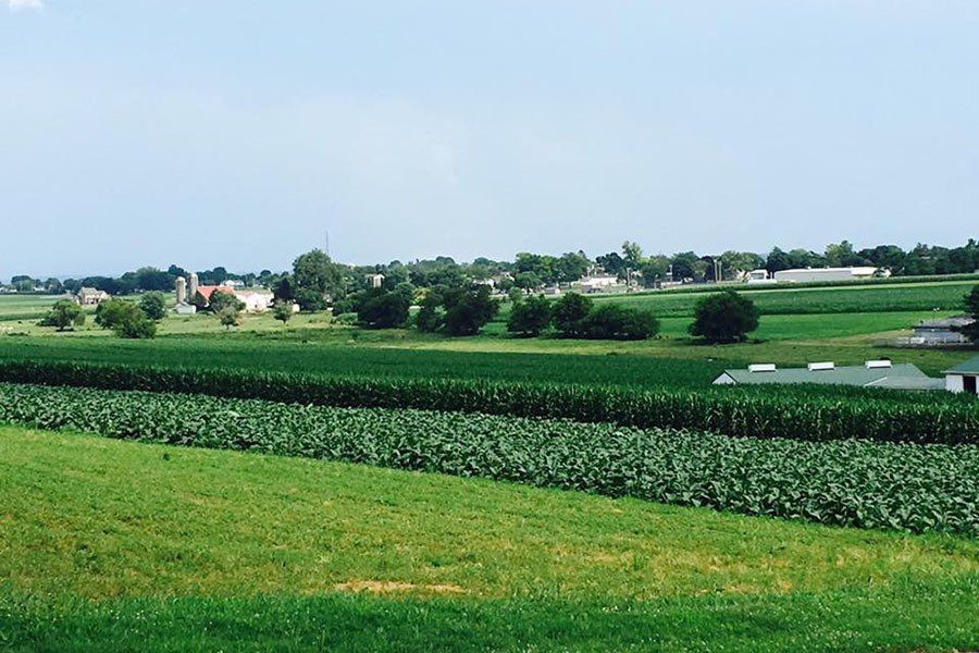 Beautiful views across the open fields.